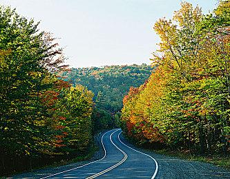 《王者荣耀》夏洛特新皮肤曝光 网友：原来是女的